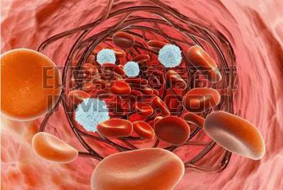 5款治疗精氨酸酶缺乏症(ARG)的药物