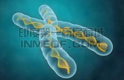 3种用于治疗进行性肌营养不良(PMD)药物