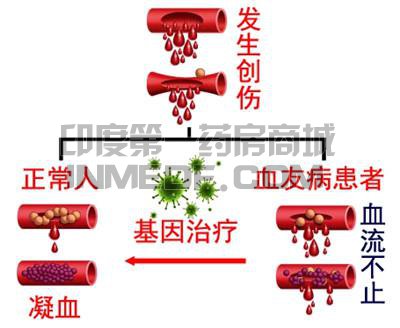 15款临床用于治疗血友病的药物