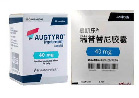 瑞普替尼报销需要哪些材料？